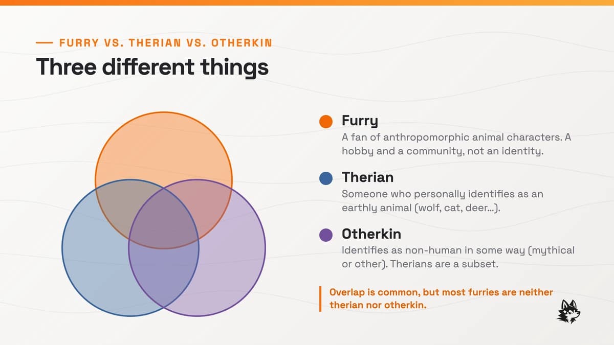 Furry vs Therian vs Otherkin: What's the Difference?