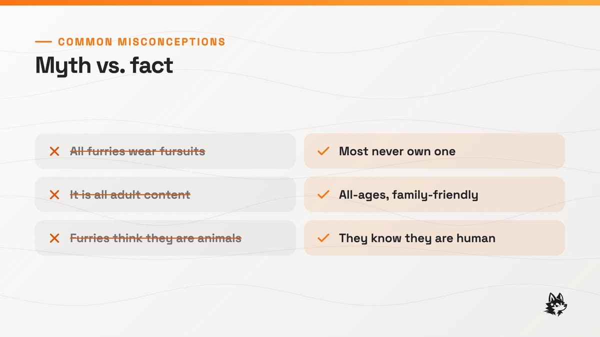 Common furry misconceptions corrected: all furries wear fursuits (most never own one), it is all adult content (the fandom runs as all-ages and family-friendly), and furries think they are animals (they know they are human).