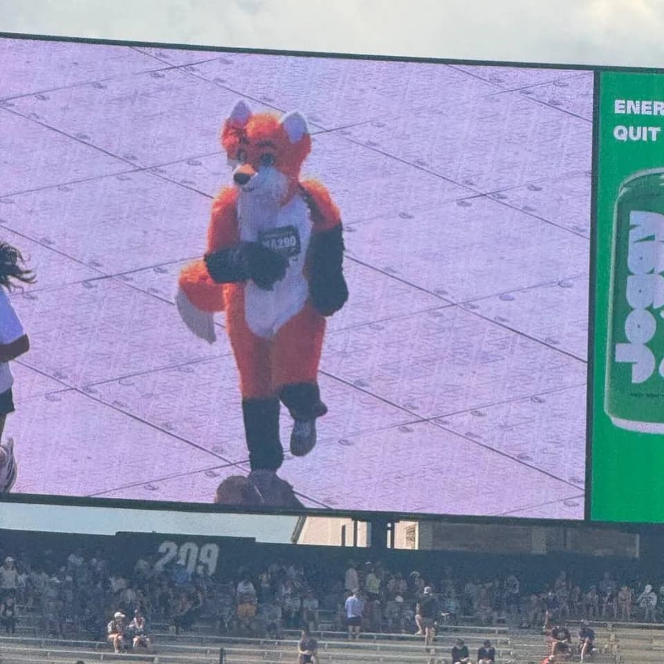 Close-up of the jumbotron showing Blaze the Foxx mid-stride, alone in frame, with his race bib MA290 clearly visible across his chest.